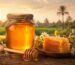 عسل نحل طبيعي في مصر من Natural Organic Honey