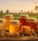 عسل طبيعي في السوق المصري وأنواعه من Natural Organic Honey