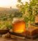 عسل السدر الأصلي للبيع في مصر من Natural Organic Honey