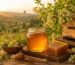 عسل السدر الأصلي للبيع في مصر من Natural Organic Honey