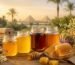 عسل طبيعي مصري للاستخدام اليومي من Natural Organic Honey