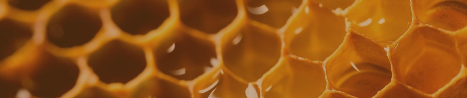 عسل طبيعي أصلي في مصر