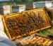 عسل هدية للزوج من Natural Organic Honey