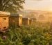 عسل الأثل الملكي من Natural Organic Honey