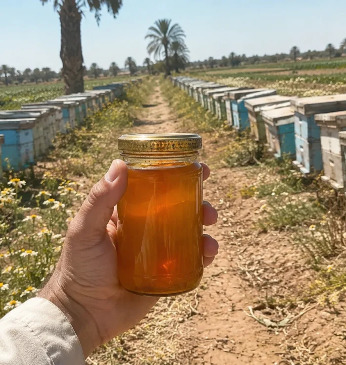 عسل مع الحليب من Natural Organic Honey