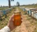 عسل مع الحليب من Natural Organic Honey