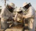 عسل ملكي للرجال من Natural Organic Honey