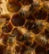 عسل افضل انواع في مصر 260 من Natural Organic Honey