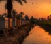 عسل استخدام الفول من Natural Organic Honey